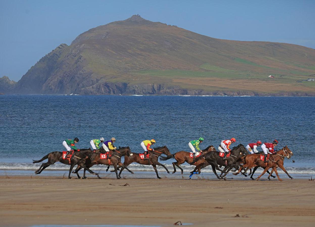 Dingle Town Holiday Home By Trident Holiday Homes Dış mekan fotoğraf